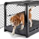 DIGGS Revol Collapsible Dog Crate with Wheels - Premium Portable Dog Crate - Safe, Stylish, and Convenient Indoor Kennel (Charcoal, Medium) (Medium (34.6"L x 22.9"W x 23.8"H))
