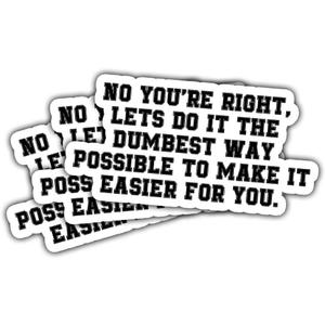 4 x 3Pcs No You're Right Lets Do It The Dumbest Way Possible To Make It Easier for You Sticker Joke Let's Do It The Dumbest Way Stickers Sarcastic Stupid Car Decal for Laptop Bottle Phone Case 5"