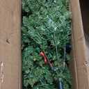 6Ft Pre-lit Artificial Pencil Christmas Tree Hinged Fir PVC Tree with 350 LED Lights