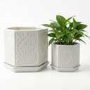 Ceramic Pots for Plants Set of 2 Sizes - 6 Inch and 4 Inch Wide Plant Pots Indoor with Drainage and Saucer - White Planters for Indoor Plants - Ceramic Planter Pot with Tray for Flowers & Houseplants