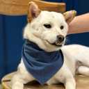 Premium Solid Navy Dog Bandana, Luxury Soft Cotton Adjustable Triangle Scarf for Medium Dogs, Comfortable, Stylish, and Customizable for All Seasons, Dog Accessories