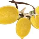 47th & Main Measuring Spoons - Ceramic Lemon Shaped Teaspoons Kitchen Essentials Gift Set, 4-Piece, Yellow