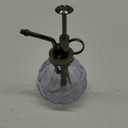 Vintage Inspired Glass Mister for Air Plants Succulents Seedlings Herbs Terrariums - Mist Watering Sprayer for Indoor Plants