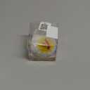 Kitchen Timer, Chicken Pattern Countdown Reminder for Cooking Baking (White)