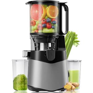 EanOruus Cold Press Juicer, 5.8" Wide Feed Chute Juice Extractor Machine with 400W, High Juice Yield, Slow Masticating Juicer for Whole Vegetables & Fruits, Silver Gray