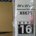 Lennox Carbon Coated X6672 Healthy Climate MERV 16 Filter (2 Pack) 