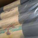 LEIFIDE 10 Pack Yoga Mat Bulk 68'' x 24'' x 4mm Thick Yoga Mat