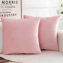 Velvet Decorative Throw Pillow Covers, Soft Square Cushion Case Home Decor for Living Room Couch Bed Sofa, Set of 2 Pack, Pink, 18x18 Inch