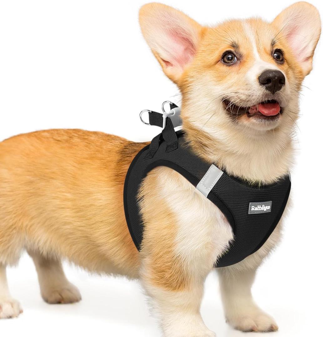 rabbitgoo Small Dog Harness, Step-in Soft Mesh Puppy Vest with Safety Buckle, Breathable Reflective Pet Harness for Dogs, Black L