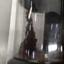 SHARDOR Electric Burr Coffee Grinder 2.0, Adjustable Burr Mill with 16 Precise Grind Setting for 2-14 Cup, Black