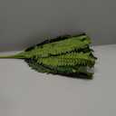 FOREST PRINCE 35" Ferns Artificial Bush Plants Large, 2 Artificial Boston Ferns with 39 Fronds for Outdoors Home Decor