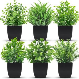 Der Rose 6 Pack Artificial Plants Small Potted Plants for Home, Office, Farm, Bathroom, Home Decor