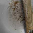 SENSARTE Nonstick Ceramic Frying Pan Skillet, 9.5 Inch Omelet Pan, Healthy Non Toxic Chef Pan, Induction Compatible Egg Pan with Heat Resistant Handle, PFAS-Free (White)