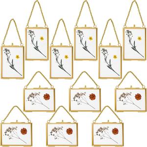 Kigley 12 Double Glass Frame for Pressed Flowers Floating Hanging Photo Frame 3.5 x 2.5 in Brass Clear Pressed Flower Decor with Chain for Display Gallery Artwork, Horizontal Vertical (Gold)
