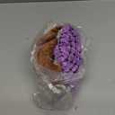 Hollypet Plush Dog Squeaky Toy Stuffed Armadillo Animal Pet Puppy Chew Toys with Clean Teeth for Small Medium Large All Breed Sizes Dogs, Purple, 10 in