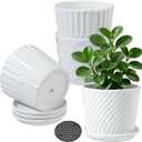 Plant Pots - 5.5 Inch Cylinder Ceramic Planters with Connected Saucer, Pots for Succuelnt and Little Snake Plants, Set of 4, White
