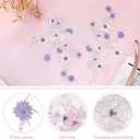 PLIGREAT 4 Pcs Beaded Applique Patches Flowers Embroidered Lace Appliques, Decorative Sewing On Lace Fabric Appliques for DIY Brides Dress Prom Dresses Wedding Clothes Decor Lace Dress Accessories
