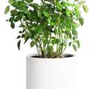 Mozing Ceramic Plant Pots Indoor - Garden Planter Pot for Planting - Modern Flower Pots with Drainage Hole for Home & Office Decor (8x8 inch, White) (8x8 inch, White)