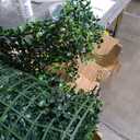 72x144 in (72 Sqft) Artificial Boxwood Greenery Roll Backdrop