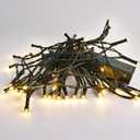 Lomotech Battery Operated Christmas Lights - 2 Pack Total 16ft 50LEDs Battery String Lights with Timer for Home, Garden, Party, Holiday, Tree Decoration (Green Wire, Warm White)