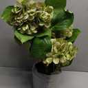 Hollyone Green Hydrangea Artificial Flowers in Pots 19.7" Four-Head Faux Silk Hydranges Flower Arrangements for Indoor Home Office Kitchen Table Centerpieces Wedding Decorations