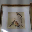 8x8 Picture Frame, Brass Metal Square Photo Frames with HD Glass, Fits 5x5 with Mat or 8 x 8 without Mat, Display for Wall and Table, 1 Pack