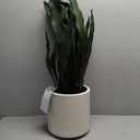 Artificial Potted Snake Plant 31in