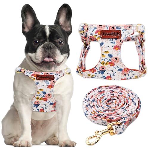 OaaXbbECco No Pull Floral Pattern Puppy Harness,Soft Adjustable Dog Harness Vest and Dog Leash Set No Choke Escape Proof (Orange Rose, S)