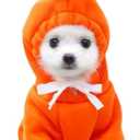 ANIAC Funny Pet Clothes - Carrot Dog Cat Hoodies Sweatshirt Coat with Fruit Hood - Fall Puppy Cat Sweater - Halloween Easter Dog Costume (Orange, Medium)