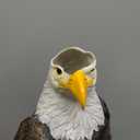Design Toscano Majestic Mountain Eagle Garden Statue