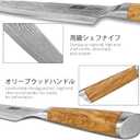 HOSHANHO Damascus Chef Knife 8 Inch, Professional 67 Layers 10Cr15CoMoV Super Steel Kitchen Knife, Ultra Sharp Japanese Knife with Durable Ergonomic Olive Wood Handle