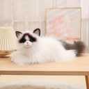 20 Inch Ragdoll Cat Stuffed Animals Handmade Realistic Plush Toy Pet Cat Gift for Kids Boys Girls Birthday