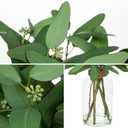 Fake Real-Touch Eucalyptus in Glass Vase with Faux Water  Realistic Faux Greenery Decor, 15.7" Tall, Artificial Eucalyptus Arrangement for Home, Farmhouse, Kitchen, Bathroom, Office