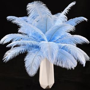 THARAHT Baby Blue Ostrich Feathers 24pcs Natural Bulk 10-12Inch 25cm-30cm for Crafts Wedding Party Centerpieces Easter Gatsbi and Home Decoration Feathers
