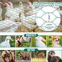 GlikCeil 36 in x 200 ft Chicken Wire Fencing Metal Floral Chicken Wire Mesh for Crafts Poultry Garden, 1 Inch Hexagonal Galvanized Hardware Netting for Poultry Coop Barrier Rabbit Cage (Green)