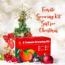 5 Tomato & Tomatillo Garden Seeds Variety Pack - Non-GMO Heirloom Tomato & Tomatillo Seeds with Planting Tools, All-in-One Growing Kit for Christmas Gift & Indoor Home Gardening