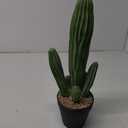 Artificial Cactus Fake Cacti 16" Faux Potted Cactus Plants for Home Store Office Decoration