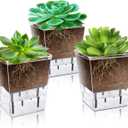 Self Watering Pots Set, 3 Pack 2.7 Inch Pots for Indoor Plants, Clear Nursery Planter with Deep Reservoir for Succulents, Seedlings, Small Plants