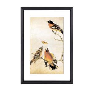 6x8 Picture Frame, Black Aluminum Metal Photo Frames with HD Glass, Fits 5x7 with Mat or 6 x 8 without Mat, Display for Wall and Table