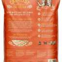 Catalyst Upcycled Soft Wood Cat Litter Cat Formula (20 lb, Multi-Cat)