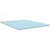 Sealy Dreamlife 1.5” Gel Memory Foam Twin Mattress Topper with SealyComfort Gel Foam