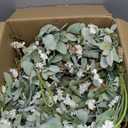 24 Inch Summer Spring Ivory Flowers Wreath for Front Door, Everyday Lamb Ears Leaves Wreath with White Artificial Flower for Indoor and Outdoor, Rustic and Farmhouse Greenery Flower