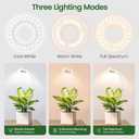 LORDEM Grow Lights for Indoor Plants, 2 in 1 Full Spectrum Plant Light with 360° Gooseneck, 48 LEDs, Auto Timer 6/8/12/16H, 3 Lighting Modes,5 Brightness Levels for Small Plants, 3 Pack White