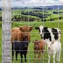 Cattle Fence 4Ft x 328, 13 Gauge Galvanized Wire Fencing, Hinge Knot Woven Wire Fence, Livestock Fencing for Cattle Goats Sheep Hog, Heavy Duty Durable Metal Field Fence for Pasture Yard Garden
