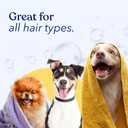 Honest Paws Dog Conditioner - Detangle & Moisturize - Premium Pet Conditioner for Itchy and Dry Skin - Hydrate Sensitive Skin - Shiny Coat Soft Hair Smooth Fur - Mandarin & Berry - 16oz