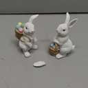 Newman House Studio Easter-Decorations Bunny-Decor Spring-Figurines Table-Centerpiece - 2PC Spring Decorations Resin Rabbits with Carrot and Flower Tabletop Ornaments for Home Farmhouse 4.5H inch