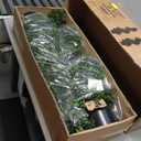 ALL SEASON GREEN 3ft Artificial Boxwood Topiary Tree Potted Topiary Plants for Front Porch Entrance Home Living Room Indoor and Outdoor 2Pack