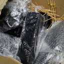 Tessco 800 Pcs Mini Appetizer Plates Set Including 400 Disposable Dessert Plates Assorted Shape 200 Mini Plastic Forks 200 Plastic Spoons for Party(Black,Classic)