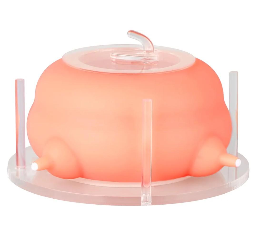 Puppy Feeder for Multiple Puppies, Pet Milk Feeder with Silicone Dog Nursing Station of 4, Puppy Milk Replacer for Puppies/Kittens Puppy Feeder for Multiple Puppies, Pet Milk Feeder with Silicone Dog Nursing Station of 4, Puppy Milk Replacer for Puppies/Kittens