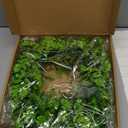 18" St Patricks Day Shamrock Wreath for Front Door,St Patrick Day Artificial Wreath Outdoor Decorations, Lucky Clover Spring Summer Greenery Hanging for Farmhouse Wall Window Indoor Porch Home Decor